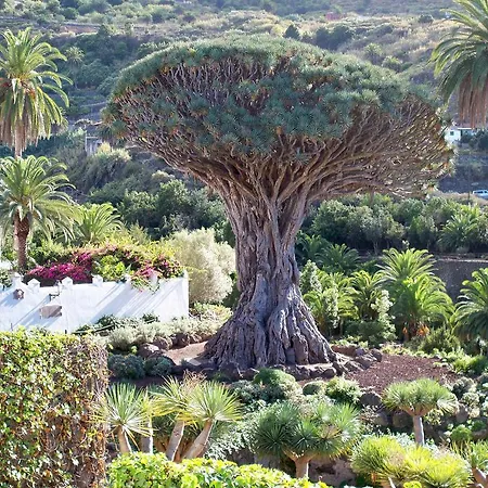 בית נופש Rural House With Natural Cave איקוד דה לוס וינוס