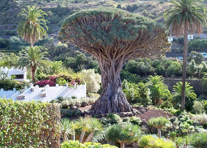 Casa vacanze Rural House With Natural Cave Icod De Los Vinos